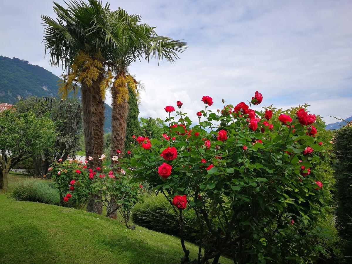 Bellagio Lake View Villa Oliveto Lario Exterior foto