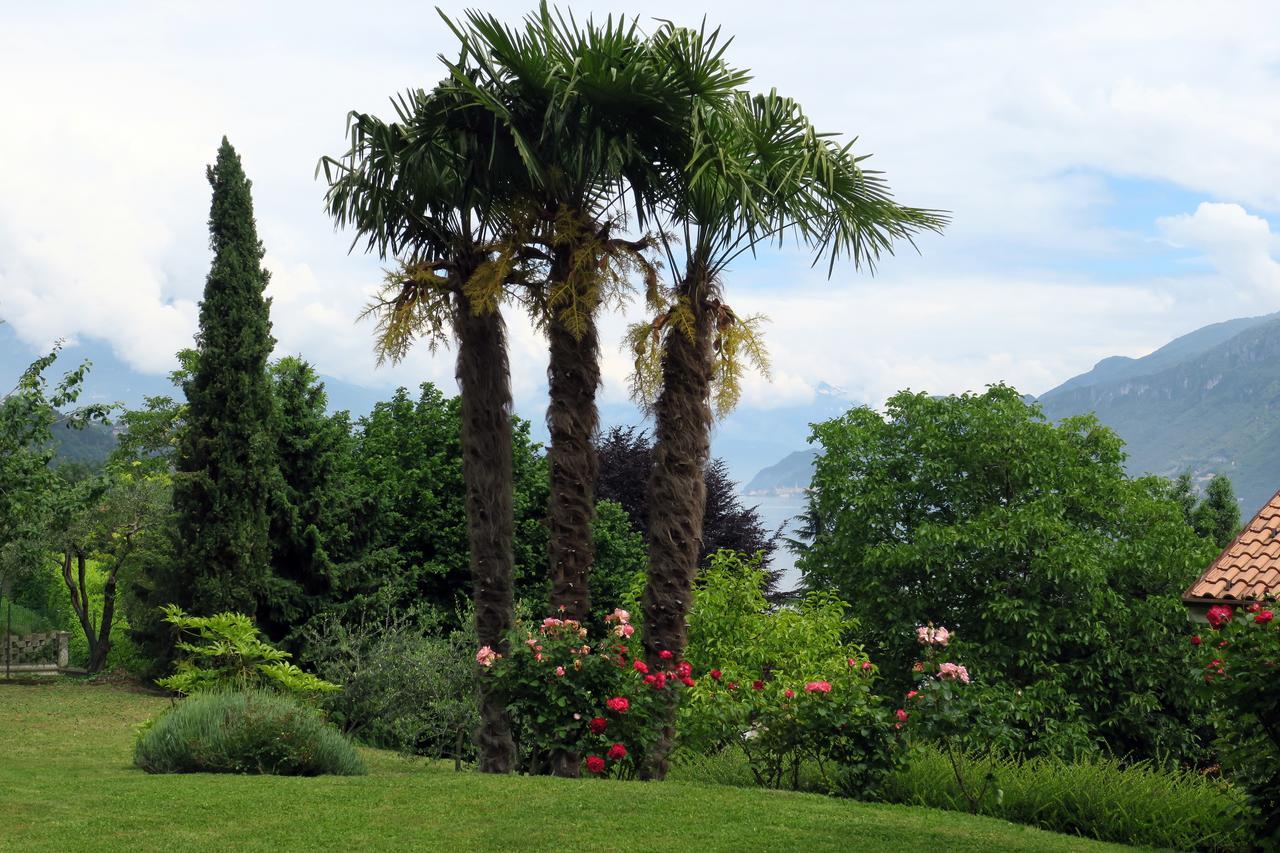 Bellagio Lake View Villa Oliveto Lario Exterior foto